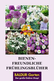 Bienenfreundliche Fruhlingsbluher Baldur Garten In 2020 Bienenfreundliche Pflanzen Pflanzen Staudenbeet
