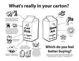 One of the biggest causes of digestive issues is a lack of hydration. 13 Reasons Why You Should Stop Eating Dairy And Milk Products