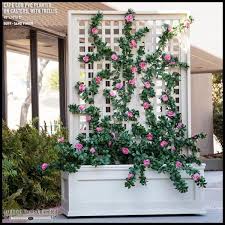 Privacy Screens Hedges Poolside Artificial Plants Indoor Small Artificial Plants Cheap Artificial Plants