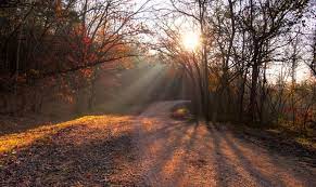 Jul 16, 2021 · the forest is waiting, come explore! 8 Campgrounds In Missouri S Expansive Mark Twain National Forest