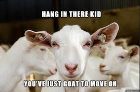 20 Hang In There Meme To Motivate You Sayingimages Com Good Heart Quotes Motivation Memes