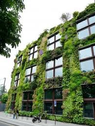 Mecenat Participatif Pour Renover Le Mur Vegetal Du Musee Du Quai Branly Jacques Chirac Paris Cote Jardin En 2020 Musee Quai Branly Quai Branly Facade Verte