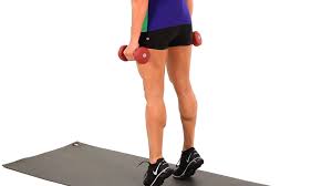 Image result for single calf raises