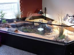 Position tortue table basse / position tortue table basse : 5a992b63e9b77dfdda6949ba2b02aa81 Jpg 550 412 Piks Aquarium Pour Tortue Tortue D Eau Etang Interieur