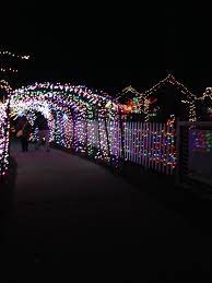 Pin By Brookside Gardens On Garden Of Lights Garden Of Lights Fair Grounds Grounds