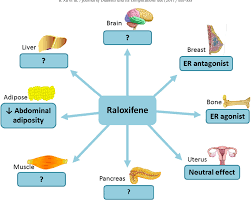 Image result for Selective Estrogen Receptor Modulator