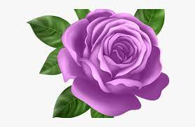 The best selection of royalty free pink and purple flower vector art, graphics and stock illustrations. Purple Flower Clipart Pretty Pink Rose Transparent Background Hd Png Download Transparent Png Image Pngitem