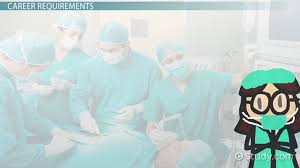 Check spelling or type a new query. How To Become A Scrub Tech Education Certification Salary