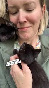 In honor of Harry Potter's Birthday we'd like you to meet the Harry Potter  Kittens! Introducing Minerva, Myrtle, Hagrid, Padfoot, Fleur & Albus! This  litter was saved from the euthanasia list just