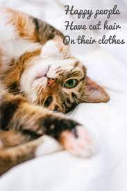 Happy People Have Cat Hair On Their Clothes Cat Quotes Cat Quotes Cats Pet Birds