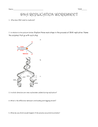 Conceptually, dna replication practice worksheet answers are a learning moderate for education pupils storage on instructions realized in the classroom. Dna Structure And Replication Review Worksheet
