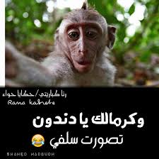 رنا كباريتي