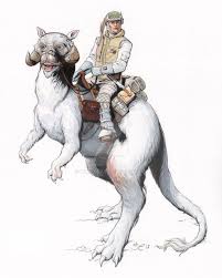 Hoth Luke Skywalker Riding Taun Taun By Almayer Star Wars Illustration Star Wars Drawings Star Wars Art