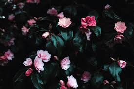 We did not find results for: 45 Broken Heart Quotes Love Quotes About Healing A Sad Broken Heart