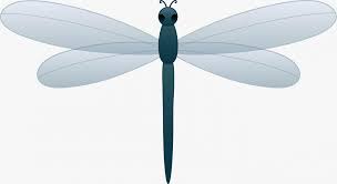 Dragonfly Drawing Png Free Dragonfly Clipart Pictures Clipartix 577 425 Png Download Free Transpa Dragonfly Drawing Dragonfly Clipart Dragonfly Symbolism