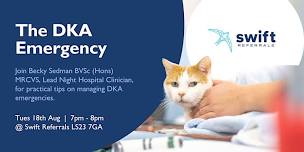 Step by Step: The DKA Emergency
