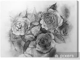 Bouquet di bellissimi fiori da giardino su rosa. Quadro Su Tela Rose Dell Acquerello In Bianco E Nero Un Mazzo Di Fiori Dipinti Pixers Viviamo Per Il Cambiamento