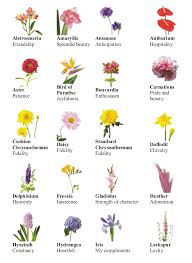 Flower Chart Know What Your Wedding Flowers Mean List Of