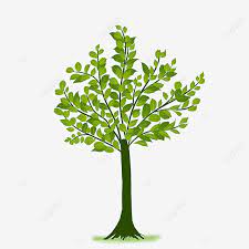 Rimbun abadi aviasi was established in 2018 to fulfill increasing demand for stol aircraft in indonesia. Gambar Pohon Besar Yang Rimbun Pohon Musim Semi Pohon Hijau Daun Daun Hijau Png Transparan Clipart Dan File Psd Untuk Unduh Gratis