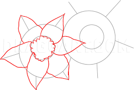 Notice how the lines form an incomplete bell shape. How To Draw Daffodils Step By Step Drawing Guide By Dawn Dragoart Com