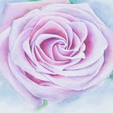 Check spelling or type a new query. How To Draw A Realistic Rose Arteza