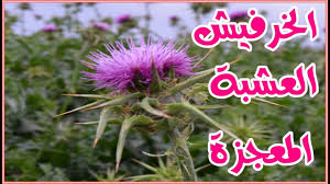 محتويات ١ مميزات رجل برج الجوزاء ٣ الصداقة والعائلة عند رجل الجوزاء Ø¹Ù„Ø´Ø§Ù† ØµØ­ØªÙƒ ÙˆØ­ÙŠØ§ØªÙƒ ØªÙ†Ø§ÙˆÙ„ ÙƒÙˆØ¨ ÙˆØ§Ø­Ø¯ ÙŠÙˆÙ…ÙŠØ§ ÙˆÙ„Ù…Ø¯Ø© 7 Ø§ÙŠØ§Ù… Ù…Ù† Ù…Ù†Ù‚ÙˆØ¹ Ø¹Ø´Ø¨Ø© Ø±Ø¬Ù„ Ø§Ù„Ø­Ù…Ø§Ù…Ù‡ ÙˆÙ‚Ù„ ÙˆØ¯Ø§Ø¹Ø§ Ù„Ù„Ø§Ù…Ø±Ø§Ø¶ Youtube