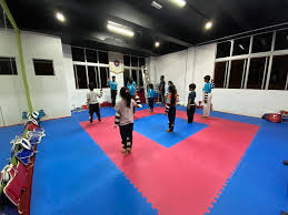 Tae kwon do adalah salah satu cabor seni beladiri yang berasal dari korea selatan. Dah Join Kelas Sparring Taekwondo Hafiz Rahim
