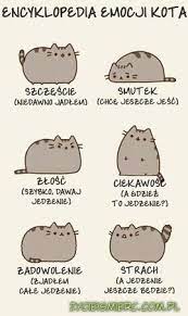 Jak Sie Nazywa Ten Kot Na Obrazku Zapytaj Onet Pl Pusheen Cute Pusheen Cat Pusheen