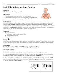 Image result for Vital Capacity