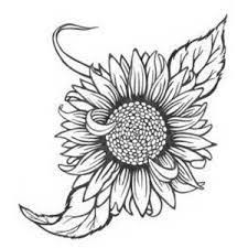Black And White Simple Outline Outline Stencil Sunflower Clipart Clipart Border Corner Google Search Sunflower Tattoo Shoulder Tattoos Sunflower Tattoos