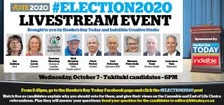 Election 2020 Tukituki Election Profiles Nz Herald