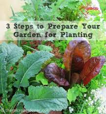 When looking for the best date to begin planting, sack explains the gardener really wants the 90th percentile date.because it is more conservative and creates a lower risk that a gardener will plant and then have a killing frost or freeze. 3 Steps To Prepare Your Garden For Planting The Micro Gardener
