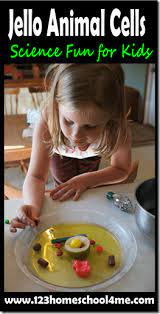 Animal cells are eukaryotic, which means they have a nucleus that holds dna. Smart Idea Candy Plant Cell Project Ideas