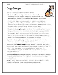 Grade 5 Reading Comprehension Worksheets Reading Comprehension Worksheets Comprehension Worksheets 5th Grade Reading