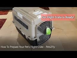 Travel crates for other exotic pets. How To Prepare Your Pet S Flight Crate Pets2fly Pet Travel Youtube