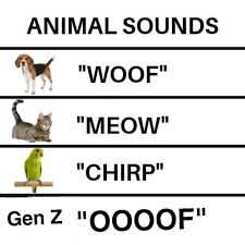 We did not find results for: 17 Edgy Gen Z Memes That Only The Kids Will Understand Gen Z Really Funny Memes Really Funny