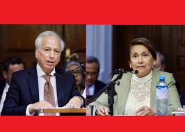 JNJ: Pleno del Congreso inhabilita de la función pública a Inés Tello y  Aldo Vásquez