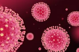 Bu sayfa bir yerdeki nemi kontrol altında tutan alet bulmacanın cevaplarını içermektedir. Kovid 19 Virusun Ic Ortamlarda Salgina Donusmesi Independent Turkce