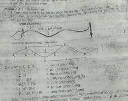 Sederhananya, gelombang transversal itu merupakan gelombang yang bergerak tegak lurus terhadap arah energi. Gambarkan Dan Beri Keterangan Bagian Bagian Dari Gelombang Transversal Brainly Co Id