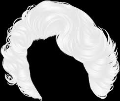 Download White Wig Png Wig Long Hair Transparent Background Full Size Png Image Pngkit About 13 clipart for 'clown wig clipart'.