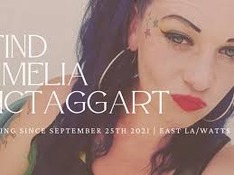 Fundraiser by Deb Mctaggert : FIND AMELIA