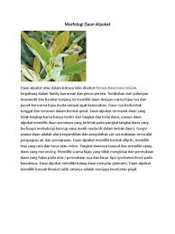 11 manfaat daun salam rebusannya manjur untuk kesehatan. Morfologi Daun Alpukat