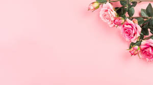 وردة حمراء دافئة مواد خلفية عيد الحب الصيني دافئ وردي روز عيد الحب الصيني خلفية Papel De Parede Rosa Borda Para Convite Rosas Quentes