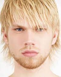 Hairstyles For Men With Blonde Hair Blonde Guys Cute Blonde Guys White Blonde Hair