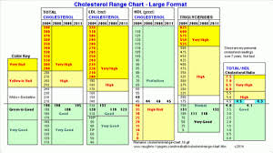 Cholesterol Range Chart Large Format