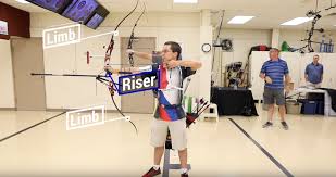 One popular model used by olympic archers is the hoyt prodigy recurve bow. Olympic Recurve Bow Anatomy