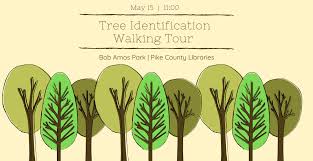 Broadleaf trees are everything else. Tree Identification Walking Tour Visit Pikeville