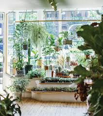 8 Plant Shops You Need To See Decor8 Plants Plant Aesthetic Indoor Plants