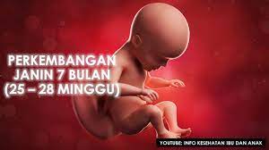 Saat usia 8 bulan, gerakan bayi akan jauh lebih aktif. Perkembangan Janin 7 Bulan 25 28 Minggu Youtube