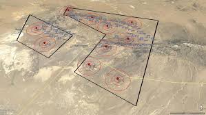 Image result for Zygophyllum leucocladum